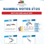 How to Vote Using a Ballot Paper Thumbnail